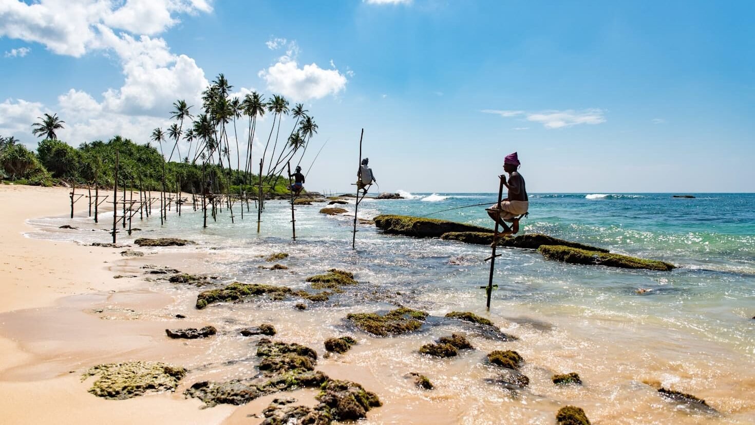 Duas pessoas estão pescando em palafitas perto da costa de uma praia arenosa com pedras, palmeiras e um céu azul claro, em Mirissa. Representa o que fazer no Sri Lanka.
