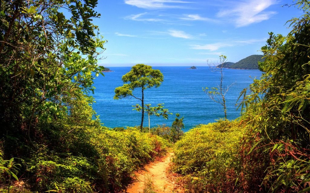 Vista de parte de trilha em direção a uma das melhores praias de Ubatuba, a Praia do Cedro.
