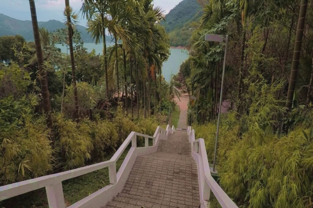 Foto tirada de cima da escadaria que leva à praia. As laterais são repltas de vegetação, e ao fundo é possível ver o mar.